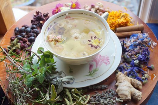 Gaz Giderici Bitkiler Nelerdir?