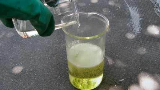 Klor Gazı Klorün Üretimi ve Kullanımı